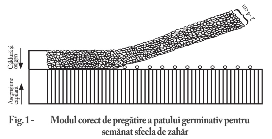 fig1