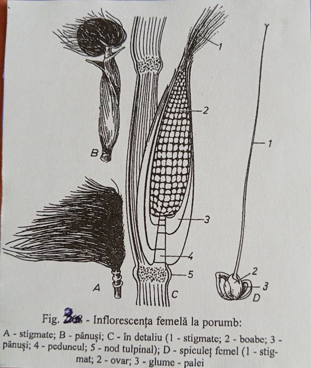 fig3