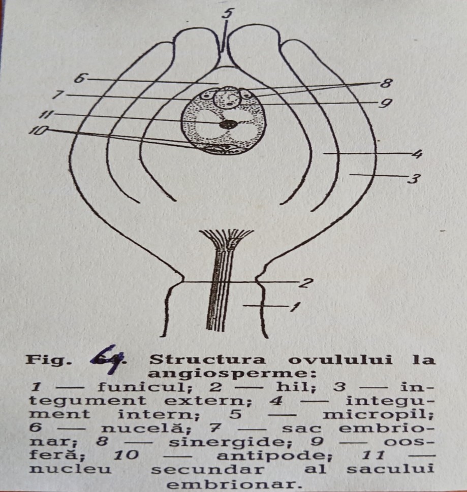 fig4
