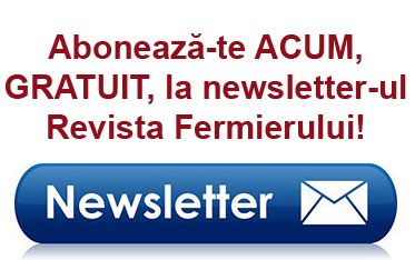 newsletter rf