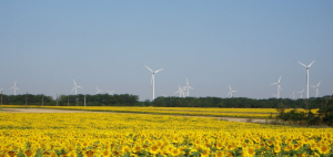 Ajutorul de stat pentru energie verde poate fi cerut în perioada 9 – 23 noiembrie 2023