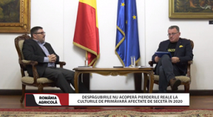 Despăgubirile nu acoperă pierderile reale la culturile de primăvară afectate de secetă în 2020