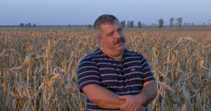 Ce înseamnă să te îneci în borcanul de miere al puterii!